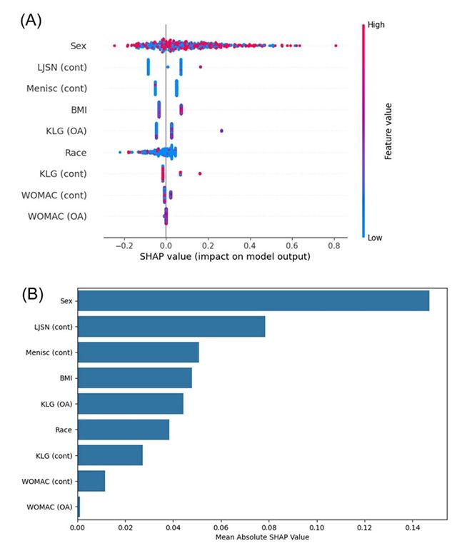 반대쪽 무릎 퇴행성 관절염 예측 모델의 주요 변수 중요도: 성별, 반대쪽 무릎의 외측 관절 간격 감소(LJSN), 반대쪽 무릎의 반월판 절제술 수술력(Menisc), 체질량지수(BMI) 순으로 영향을 미침 /이미지 제공=서울대병원