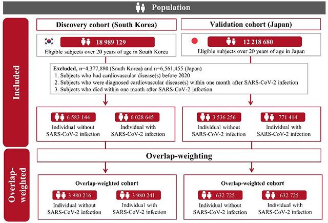 이미지 제공=경희대학교