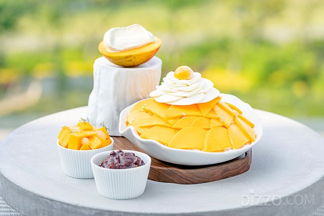 사진제공=JW 메리어트 제주