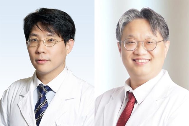 (왼쪽부터)분당서울대병원 이비인후과 최병윤 교수, 고대안산병원 이비인후과 최준 교수 /사진 제공=분당서울대병원