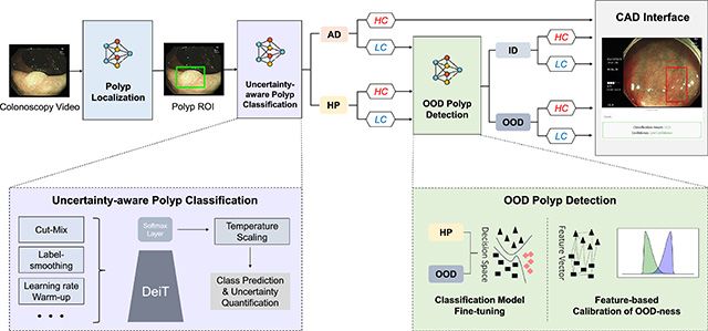 ColonOOD 개요. ColonOOD는 용종의 위치를 찾은 후, 확실한 고위험 용종(선종성 용종)을 분류한다. 이후 불확실한 용종은 추가적으로 소수 유형 여부를 분석하여, 저위험 용종(과형성 용종)과 모델이 학습하지 않은 소수의 용종으로 구분한다. /이미지 제공=서울대병원