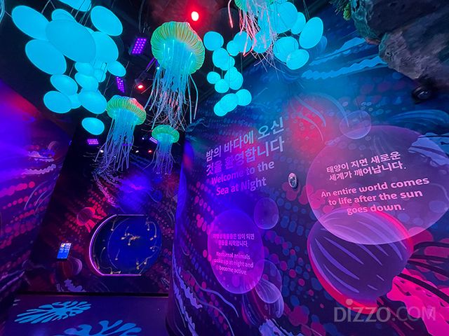 코엑스 아쿠아리움의 신규 테마존 '별빛 바다'(사진촬영=서미영 기자)