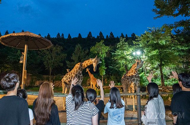 사진제공=삼성물산 