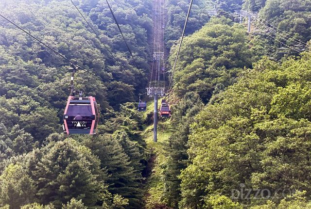 매봉산 정상까지 운행하는 곤돌라