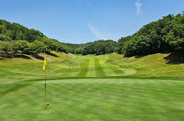 츠이엔CC 8번홀 내리막 코스 전경.