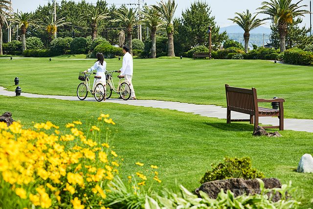 사진제공=해비치 호텔앤드리조트 제주