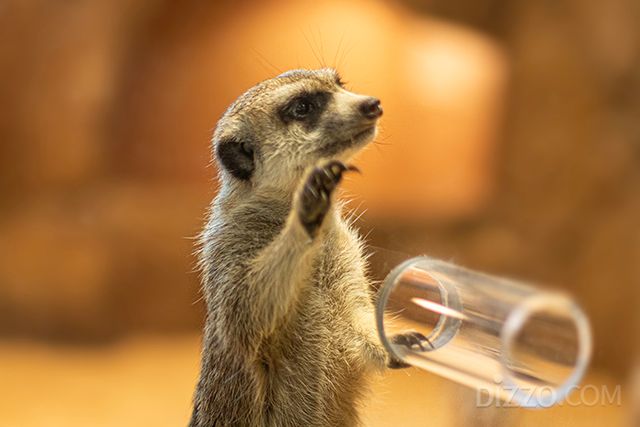 사진제공=제주신화월드 