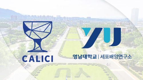 이미지 제공=칼리시