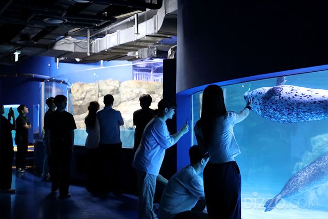 라이프 코엑스 아쿠아리움 신규 전시 테마존 ‘물범 해변’