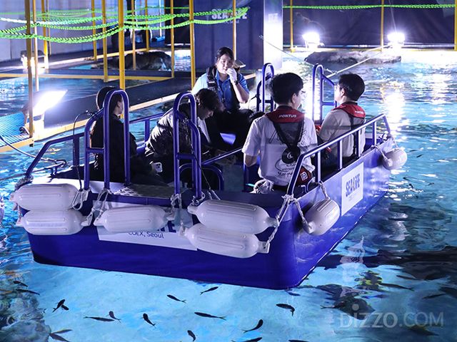 씨라이프 코엑스 아쿠아리움 신규 ‘상어 투명 보트’ 체험