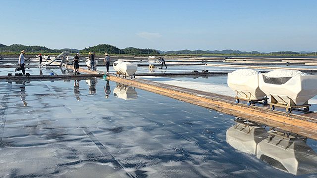 염판 위에 소금이 형성되면 작업자는 밀대를 이용해 소금을 한곳으로 모은 뒤 수레에 담아 운반한다./사진=김경희