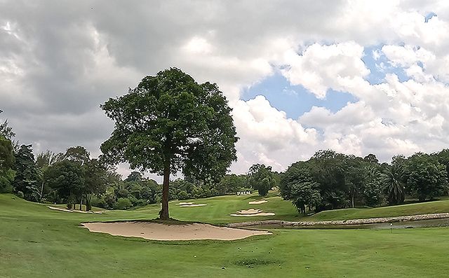 PALM 코스는 1번홀(파5) 전경./ 사진 출처=에디슨투어.