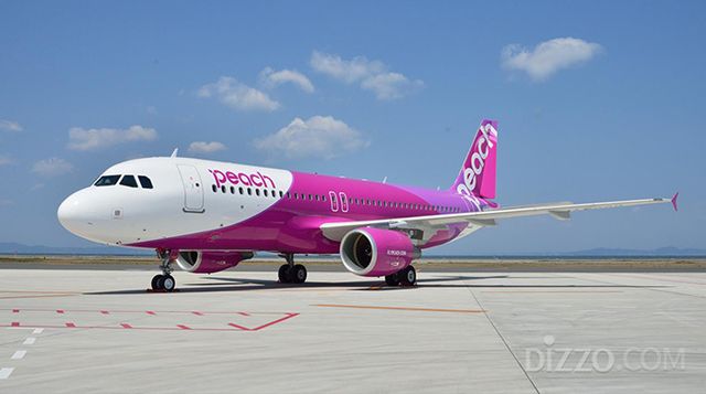 사진제공=피치항공 