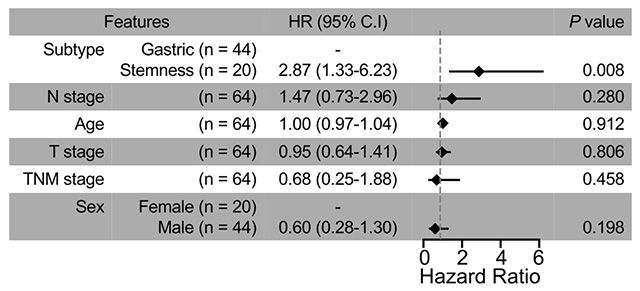 다변량 분석 결과: 줄기세포성 아형은 위 점막형 아형에 비해 혈행성 전이 위험이 약 2.9배 높았다(HR=2.87, P=0.008). /이미지 제공=서울대병원