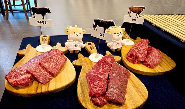 황우, 칡소, 제우흑우./사진=김경희