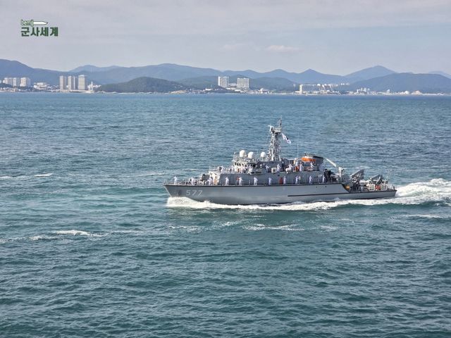 2025년 해군 관함식에 참가한 고성함 / 사진 제공=BEMIL 군사세계