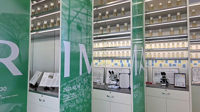 리만팜 내부 전경./사진=김경희