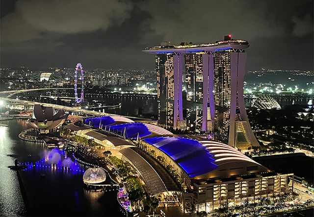 싱가포르 도심 풍경(사진촬영=서미영 기자)