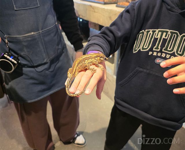 모모쥬 동물원 내에서 진행하는 파충류 생태 설명회 현장(사진촬영=서미영 기자)