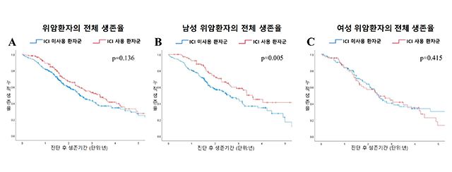위암 환자의 전체 생존곡선. 남성에서는 면역관문억제제 투여군에서 통계적으로 유의한 생존 개선이 관찰된 반면, 여성에서는 투여군과 비투여군 간 유의한 차이가 확인되지 않았다. ※ 본 결과는 단일 기관 관찰 연구에 따른 것으로, 인과관계를 단정하지는 않는다. /이미지=분당서울대병원