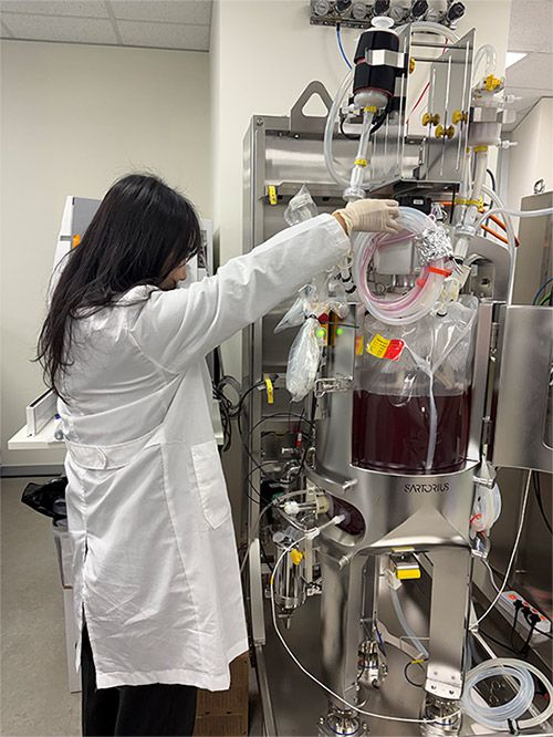 50L 규모 배양기에서 인공혈소판을 생산하는 모습. /사진=듀셀