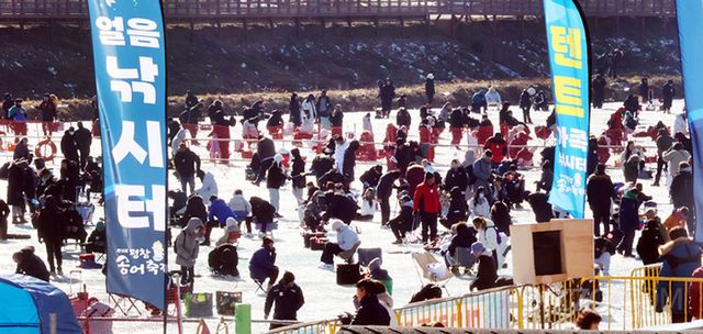 사진=평창송어축제