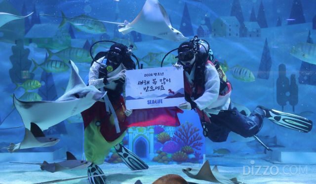 사진제공=씨라이프 코엑스 아쿠아리움