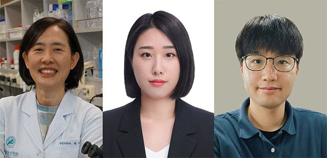 (왼쪽부터) 울산의대 서울아산병원 미생물학과(융합의학과) 권미나 교수 · 이소현 박사과정생, 한국식품연구원 김승일 박사 /사진=서울아산병원
