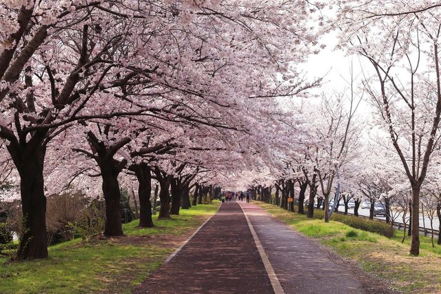 부산의 사상구(사진출처=호텔스닷컴)