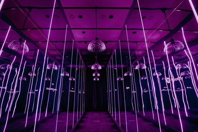 핑크빛으로 물든 '국립중앙박물관', 블랙핑크와 '힙한' 컬래버레이션 성사 [종합]