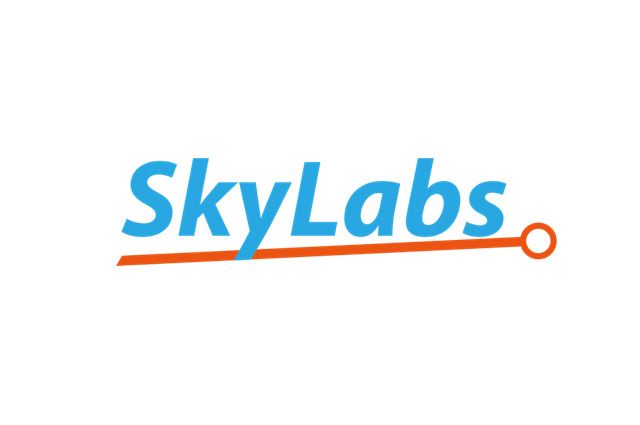 이미지=스카이랩스