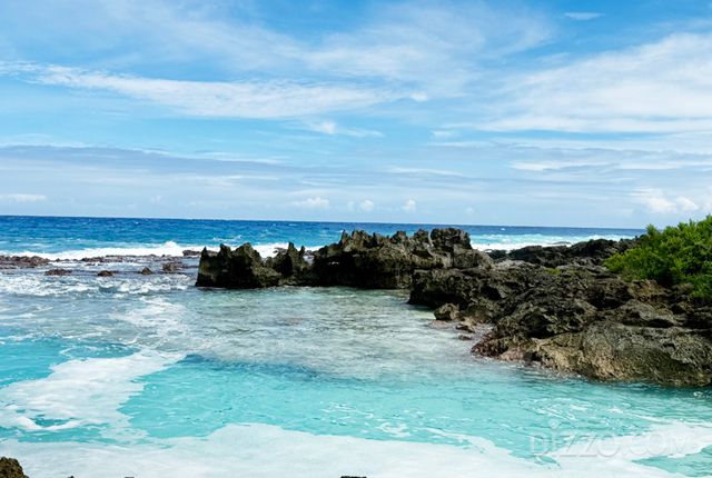 로타 스위밍홀(사진촬영=서미영 기자)