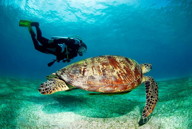 사진제공=스카이스캐너