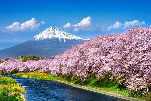 사진제공=호텔스컴바인 