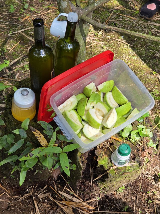 사진=변석모 기자