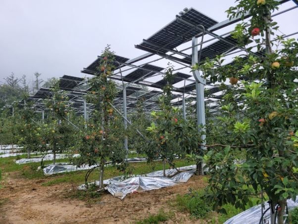 사진 제공=모든솔라