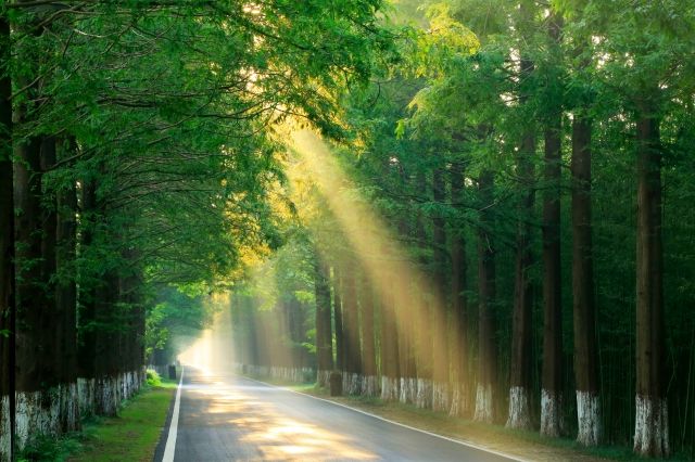 사진=황해 삼림공원