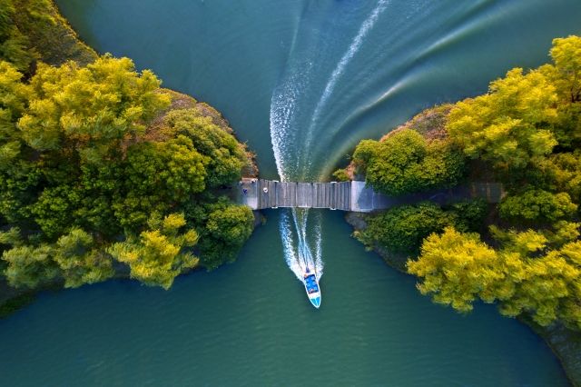 사진=염성 대종호