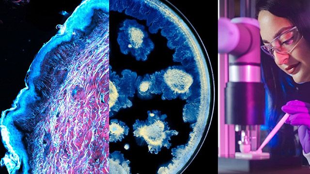 로레알그룹이 파스퇴르 연구소와 피부 건강 과학 발전을 위한 파트너십 체결했다./로레알그룹