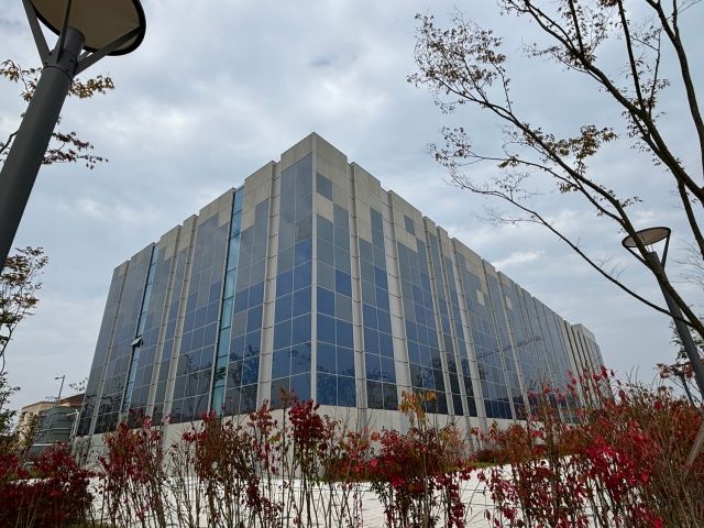 사진 제공=칼선