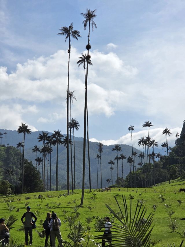 코코라 밸리 / 사진=변석모 기자