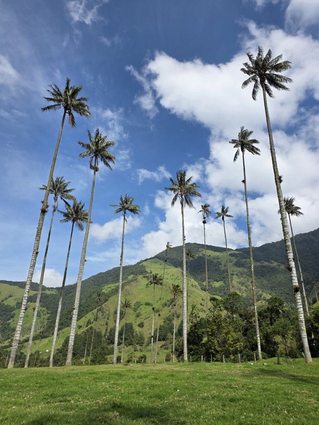 코코라 밸리 / 사진=변석모 기자