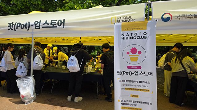 팟(Pot)-업 스토어에서는 모종을 받아 화분을 꾸미는 체험이 진행되고 있다./김경희