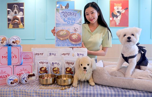 이마트 반려동물 전문 브랜드 몰리스는 반려견 냉면과 빙수 등 계절형 간식을 출시했다./이마트