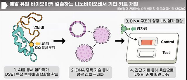 폐암 바이오마커 USE1을 검출하는 압타머 기반 나노바이오센서 개요. AI 기반 구조 분석과 DNA 증폭 기술, 양자점 기반 형광 신호 시스템을 활용해 USE1 존재 여부를 확인할 수 있도록 설계됐다. /이미지=서울아산병원