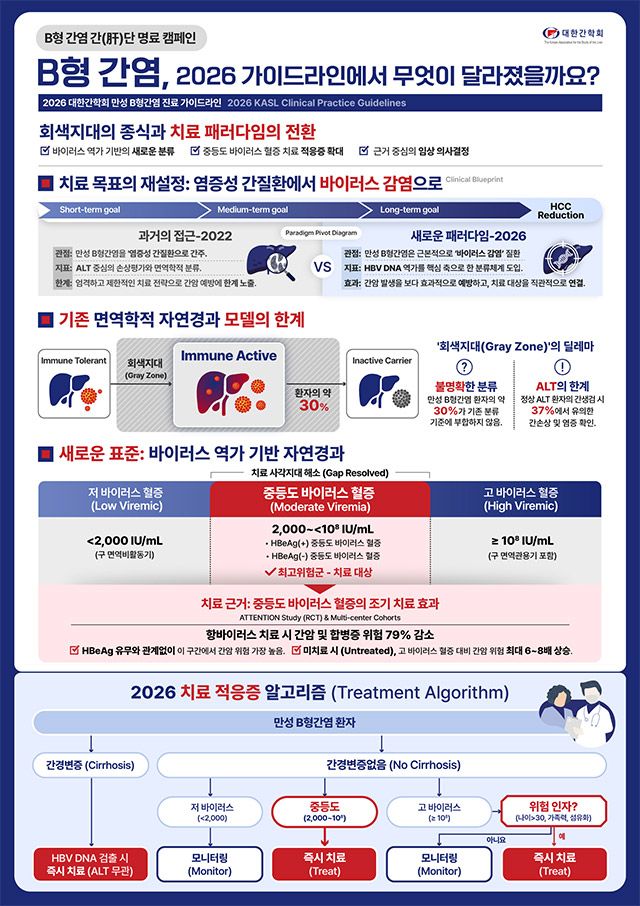 2026 만성 B형간염 진료 가이드라인 주요 개정 내용. 대한간학회는 중등도바이러스혈증 환자에 대한 항바이러스 치료 권고를 확대했다. /대한간학회 제공