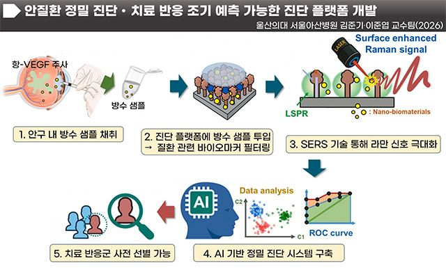 방수(房水)의 바이오마커를 표면증강라만분광법(SERS)으로 검출한 뒤 인공지능(AI)으로 분석해 망막 질환을 진단하고 항-VEGF 치료 반응을 예측하는 통합 진단 플랫폼의 개념도. /서울아산병원 제공