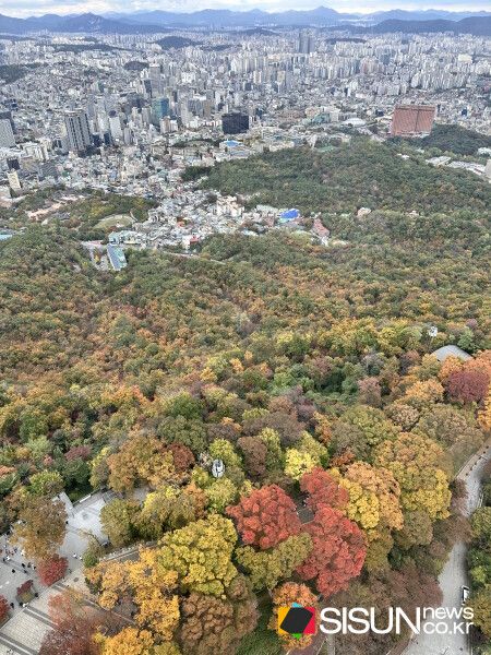 Photo Courtesy of YallaKOREA