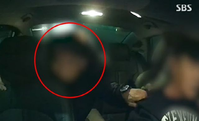 택시기사 폭행 카이스트 교수 