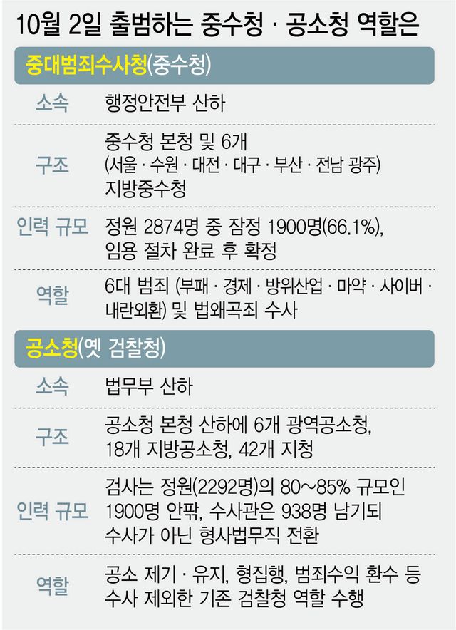 (그래픽=이미나 기자)